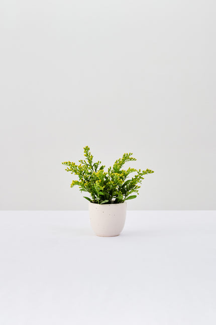 DUST MUG A 125 ML