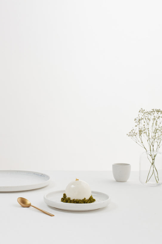 SALT LARGE PLATE