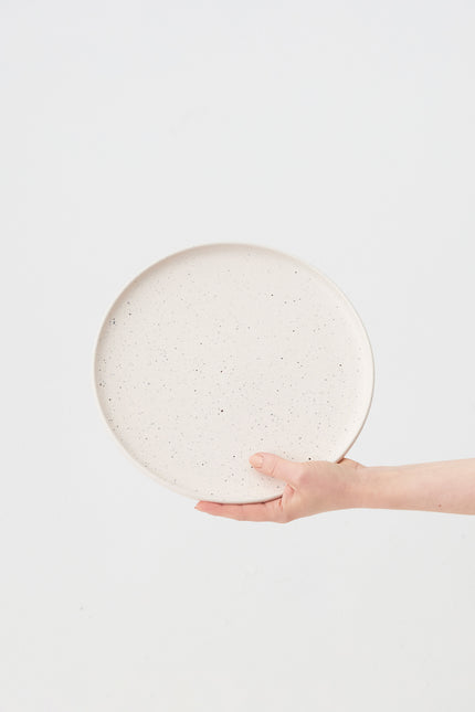 DUST LARGE PLATE