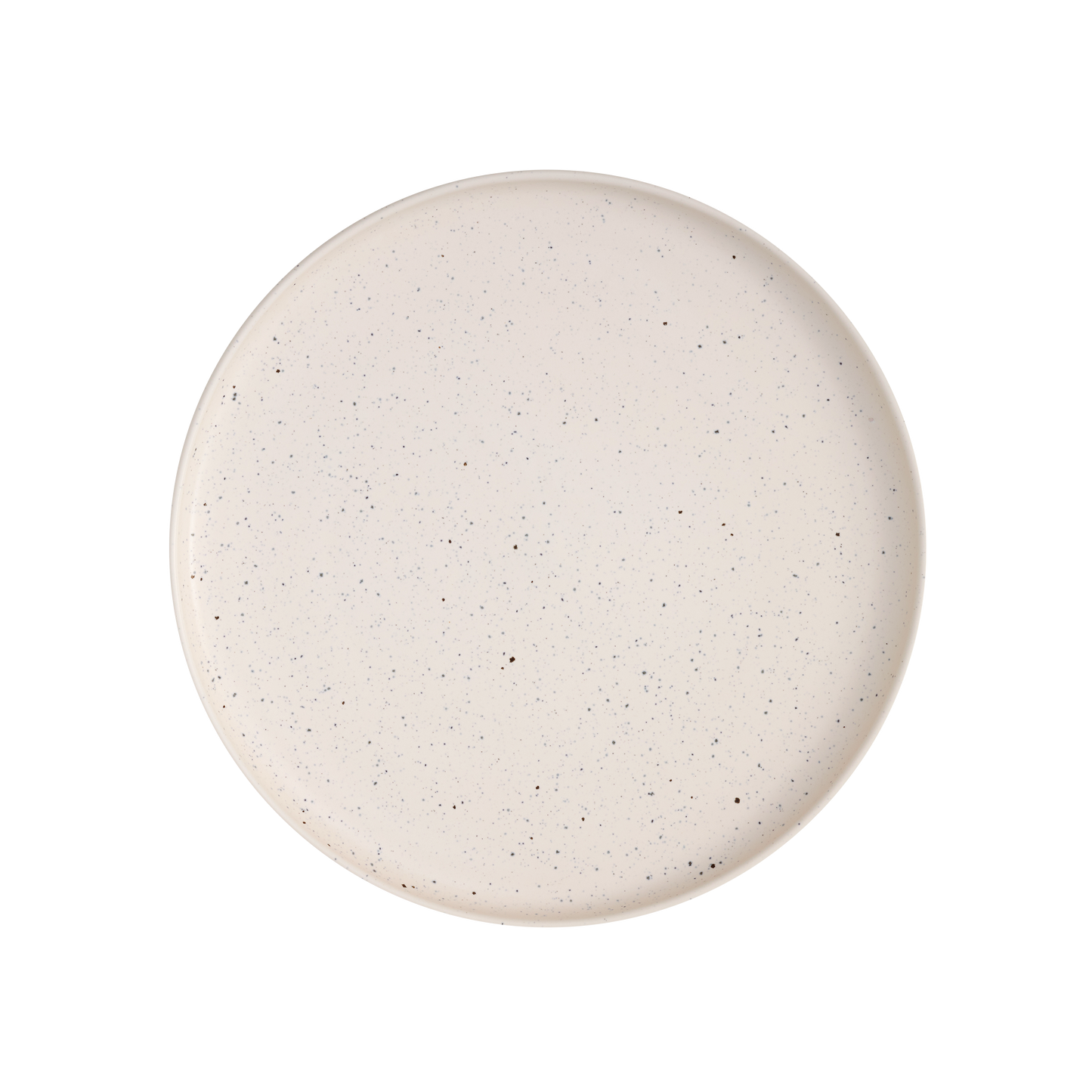 DUST LARGE PLATE