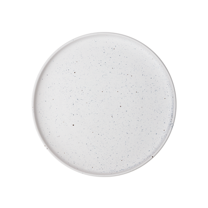 SALT LARGE PLATE